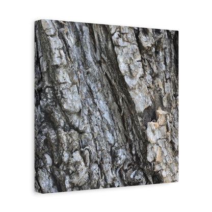 Nature's Rough Embrace - Unique Frameless Canvas Wall Art - Art By Earth