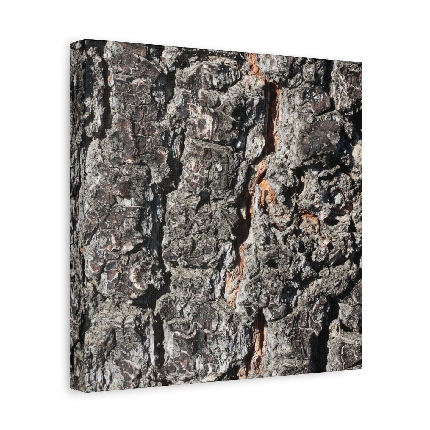 Arboreal Skin - Unique Frameless Canvas Wall Art - Art By Earth