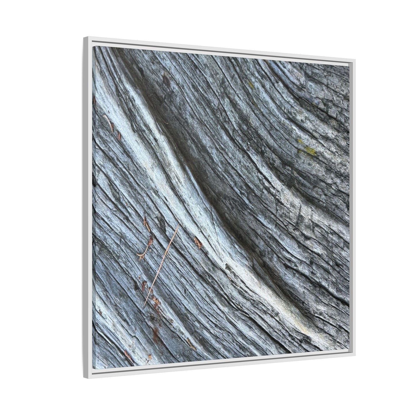 Time's Carved Path - Unique Stretched Canvas Wall Art - Art By Earth
