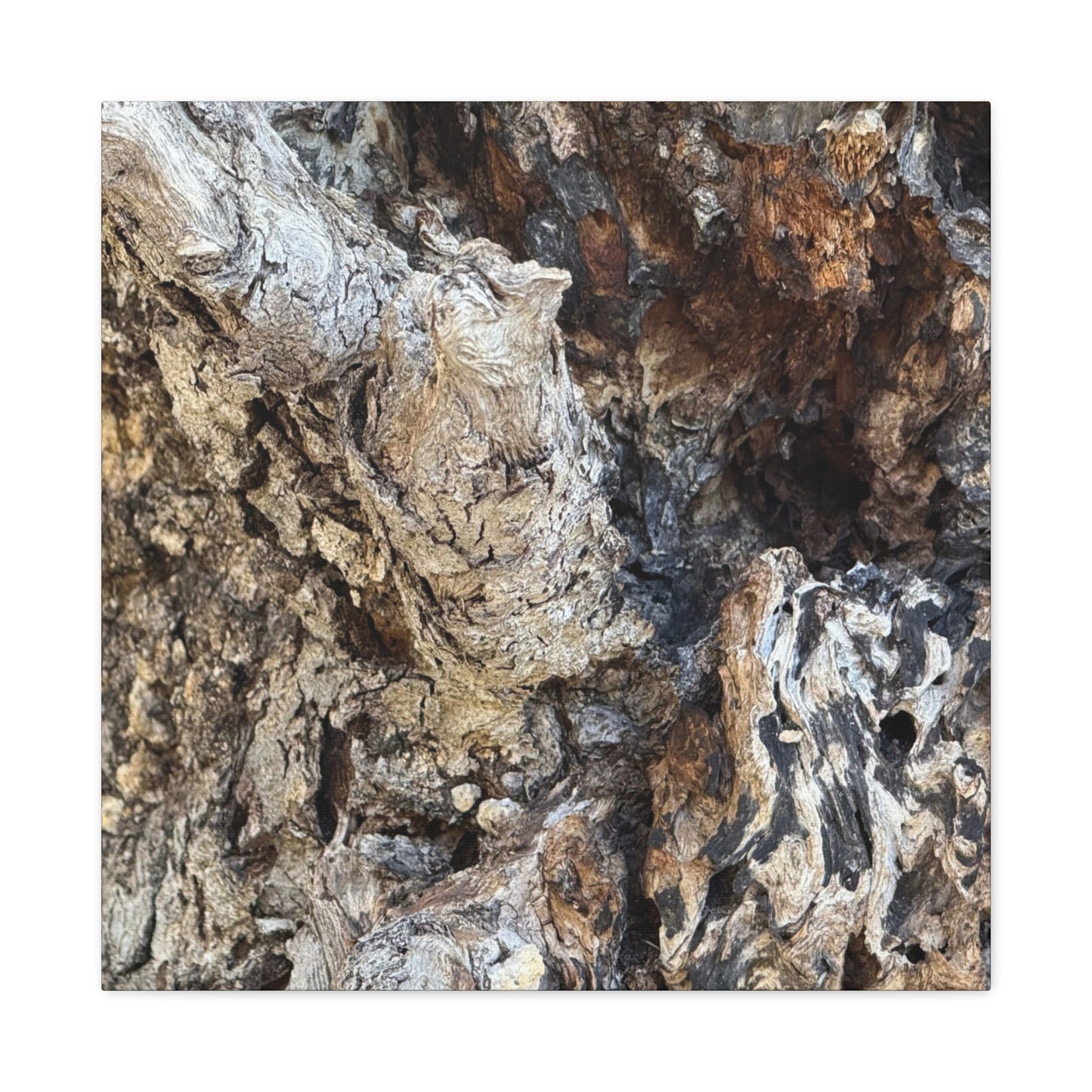 Weathered Bark Texture - Unique Frameless Canvas Wall Art - Art By Earth
