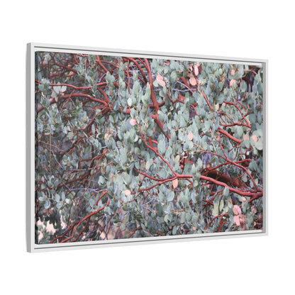 Whispers of Sage - Unique Stretched Canvas Wall Art - Art By Earth