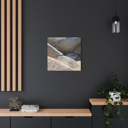 Rocky Shelter - Unique Frameless Canvas Wall Art