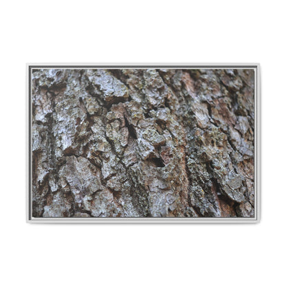 Woodland Canvas - Unique Stretched Canvas Wall Art - Art By Earth