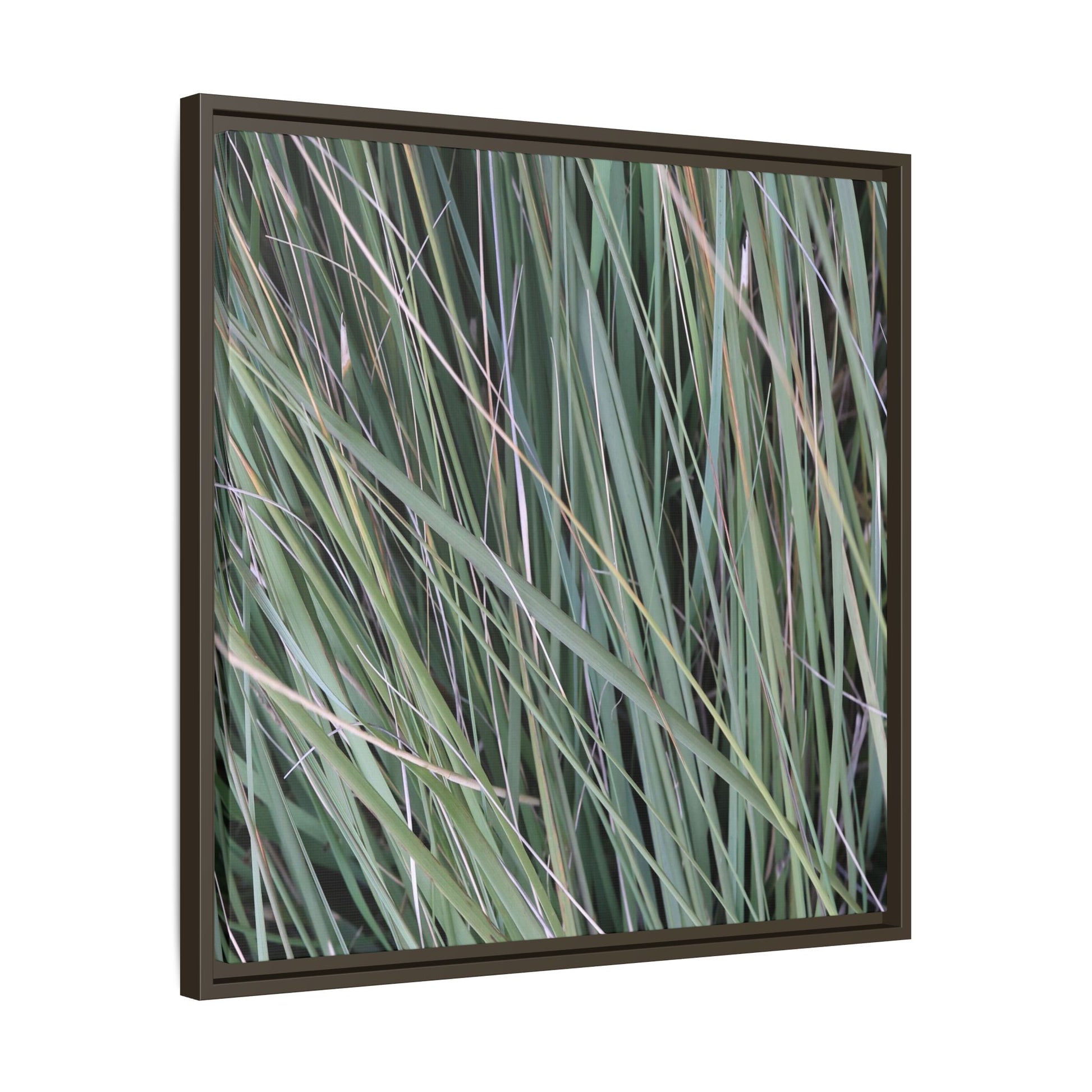 Grassland Symphony - Unique Stretched Canvas Wall Art - Art By Earth