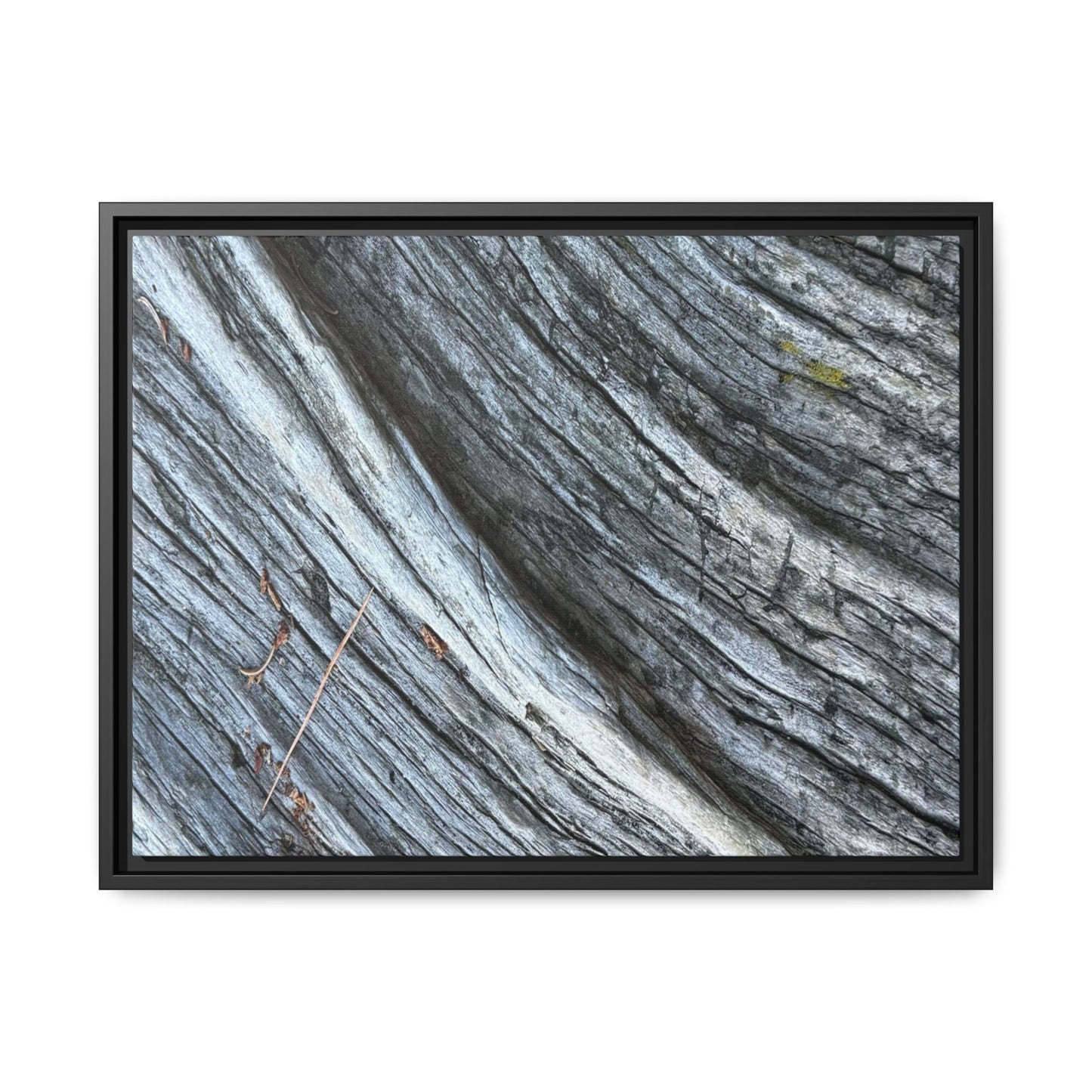 Time's Carved Path - Unique Stretched Canvas Wall Art - Art By Earth
