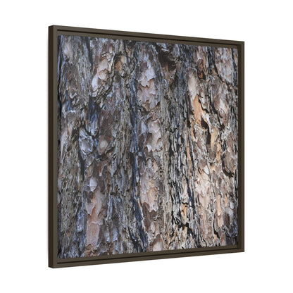 Weathered Patterns - Unique Stretched Canvas Wall Art - Art By Earth