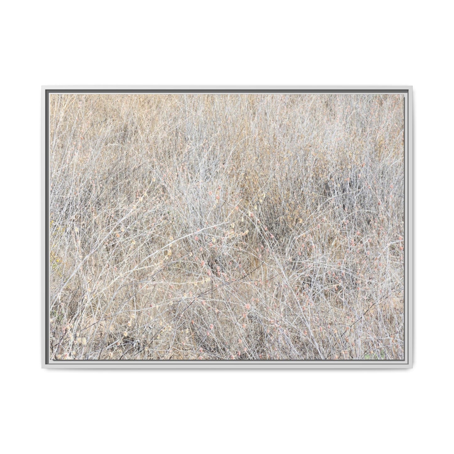 Whispers of Dry Grass - Unique Stretched Canvas Wall Art - Art By Earth