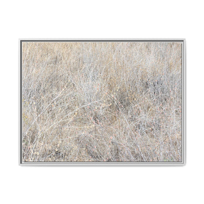 Whispers of Dry Grass - Unique Stretched Canvas Wall Art - Art By Earth