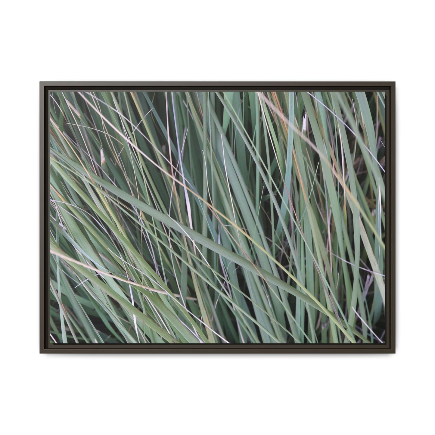 Grassland Symphony - Unique Stretched Canvas Wall Art - Art By Earth