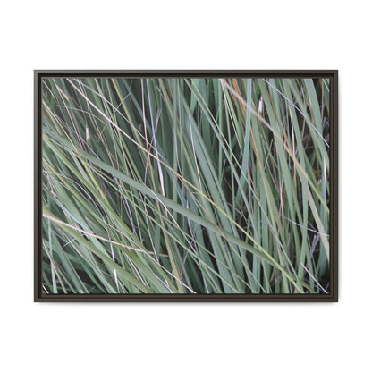 Grassland Symphony - Unique Stretched Canvas Wall Art - Art By Earth