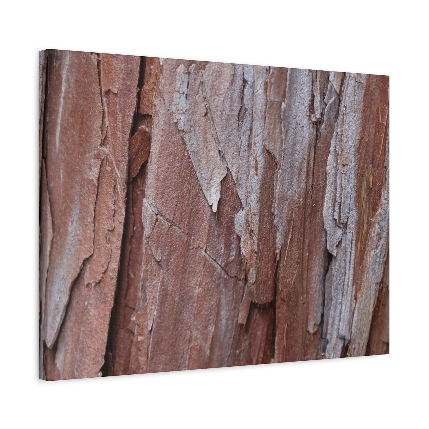 Peeling Paint - Unique Frameless Canvas Wall Art - Art By Earth