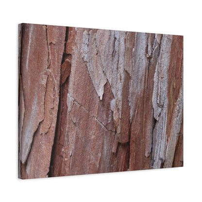 Peeling Paint - Unique Frameless Canvas Wall Art - Art By Earth