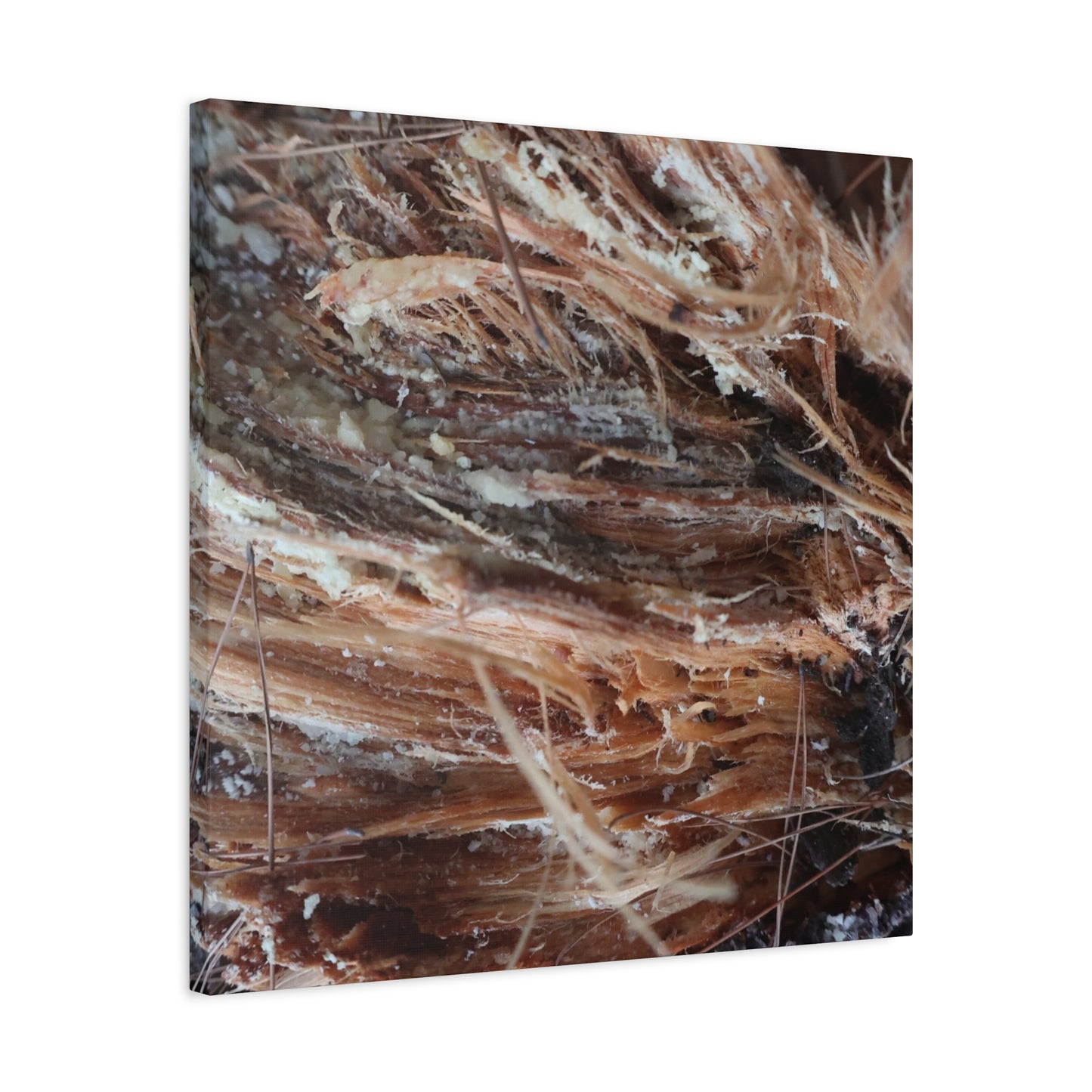 Decaying Whispers - Unique Frameless Canvas Wall Art - Art By Earth