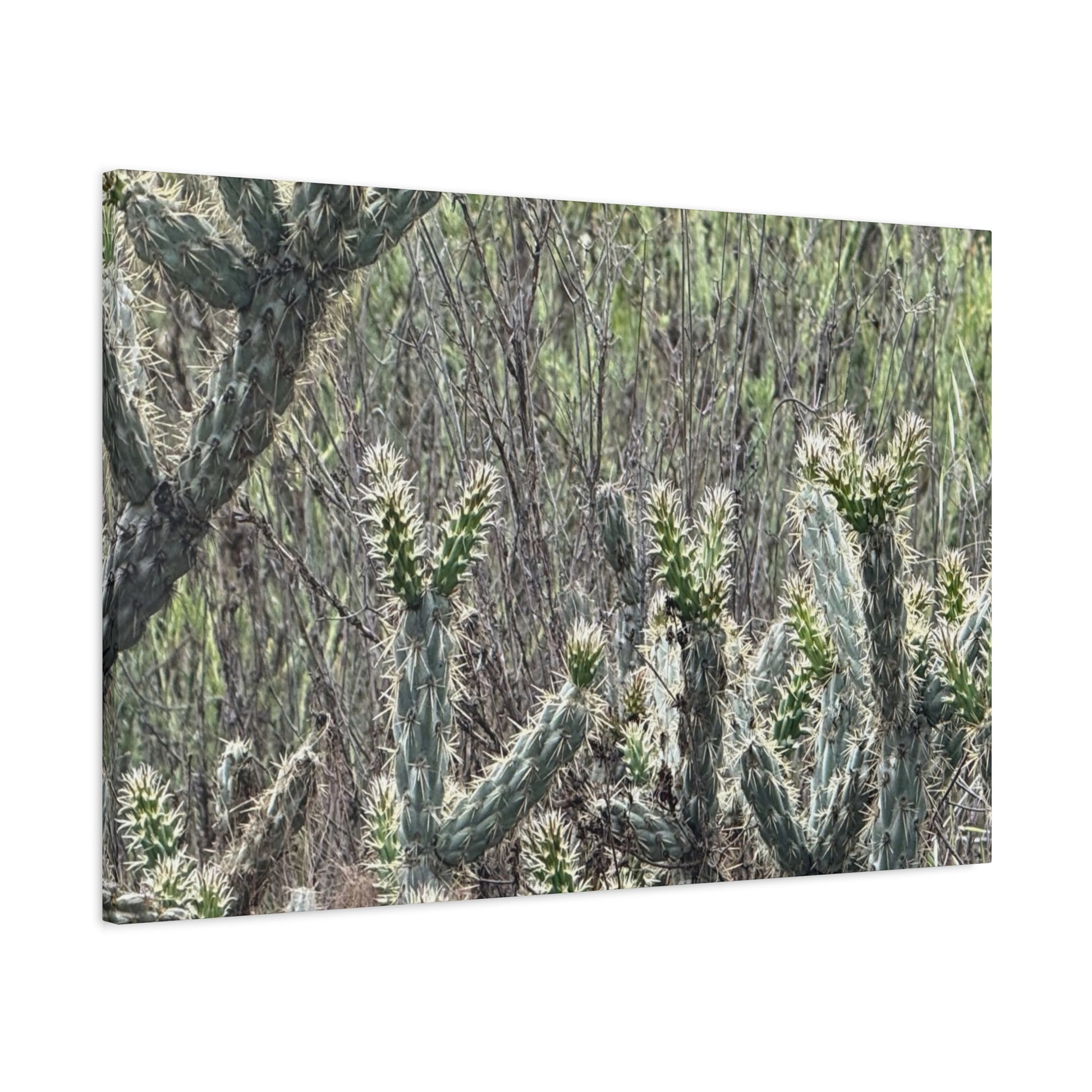 Spiny Sentinels - Unique Frameless Canvas Wall Art - Art By Earth