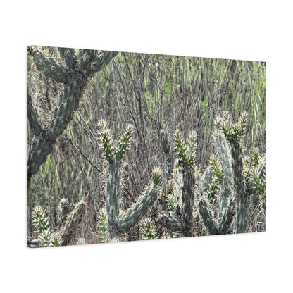 Spiny Sentinels - Unique Frameless Canvas Wall Art - Art By Earth