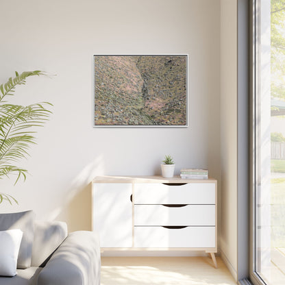 Mountain Slope with Desert Vegetation - Unique Stretched Canvas Wall Art - Art By Earth
