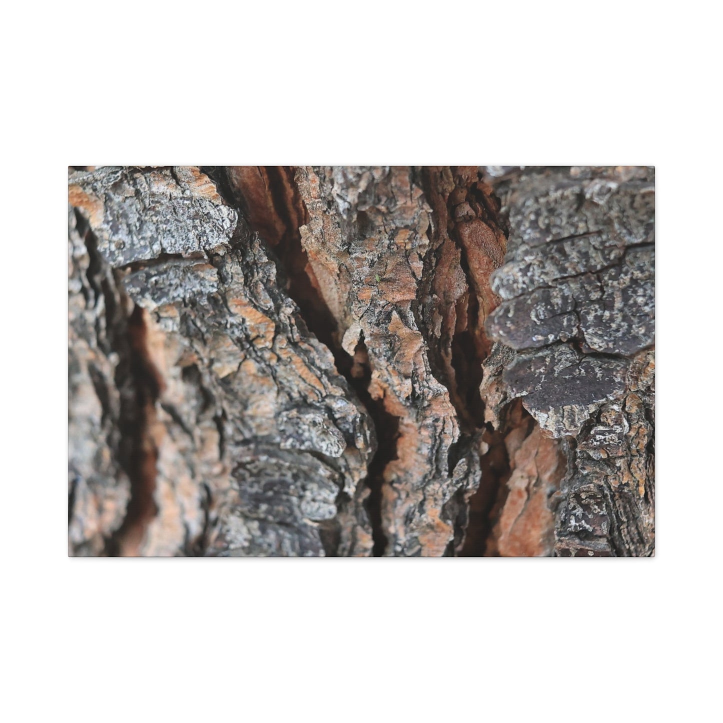 Rough Whispers - Unique Frameless Canvas Wall Art - Art By Earth