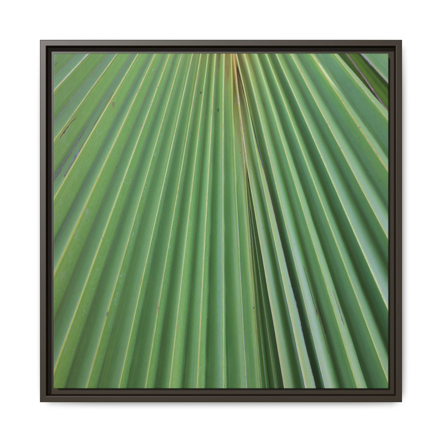 Verdant Veins - Unique Stretched Canvas Wall Art - Art By Earth