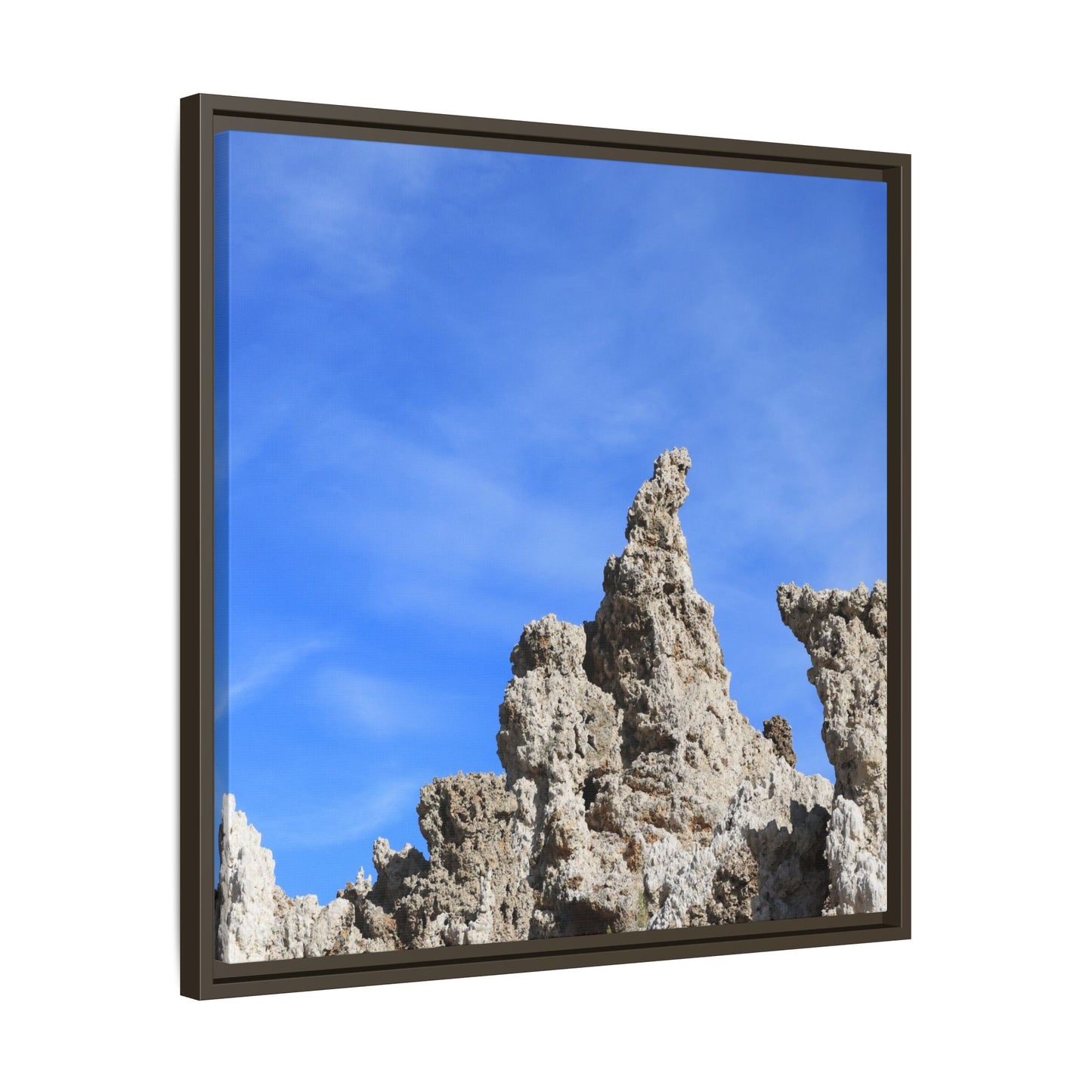 Echoes of Stone - Unique Stretched Canvas Wall Art