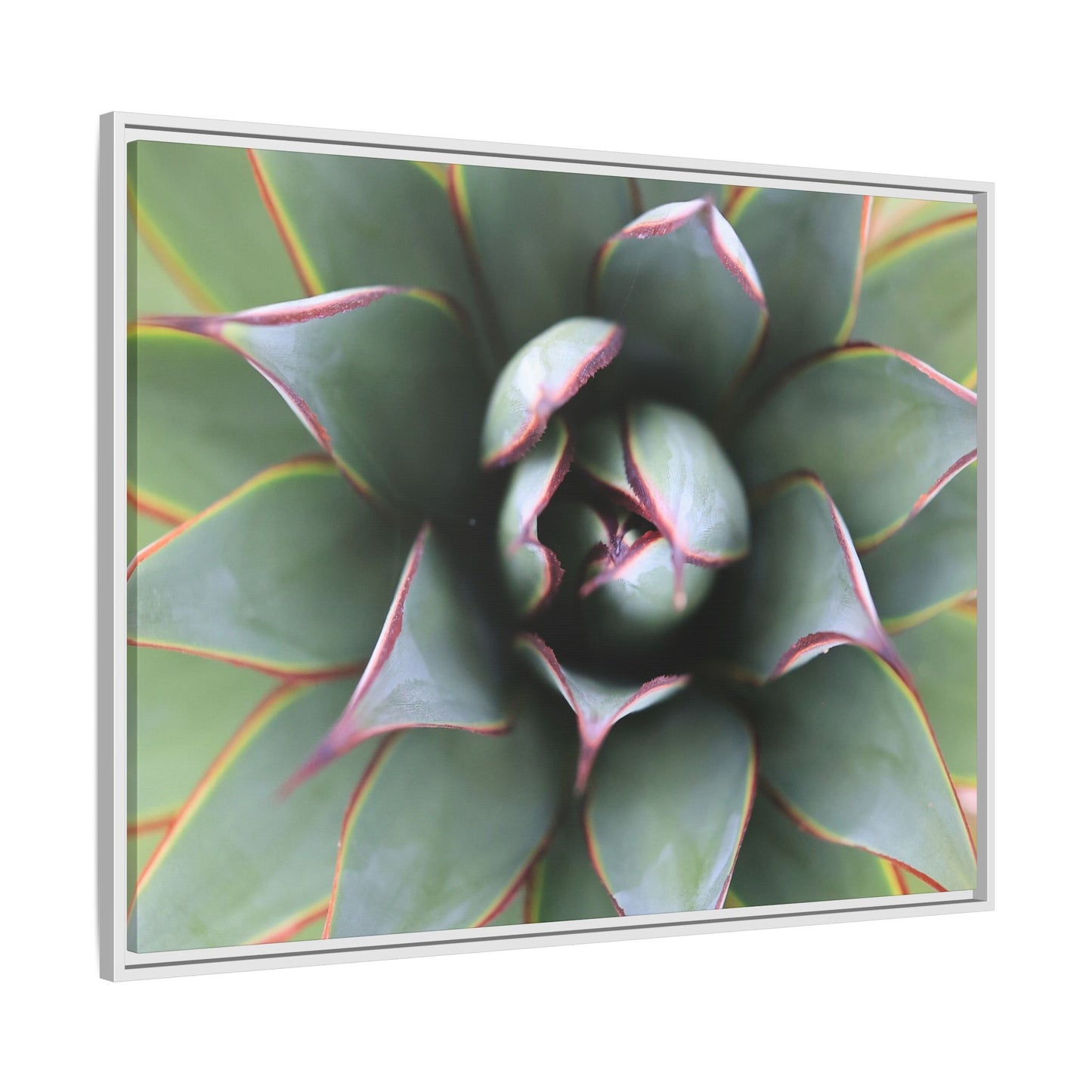 Spiky Elegance - Unique Stretched Canvas Wall Art - Art By Earth