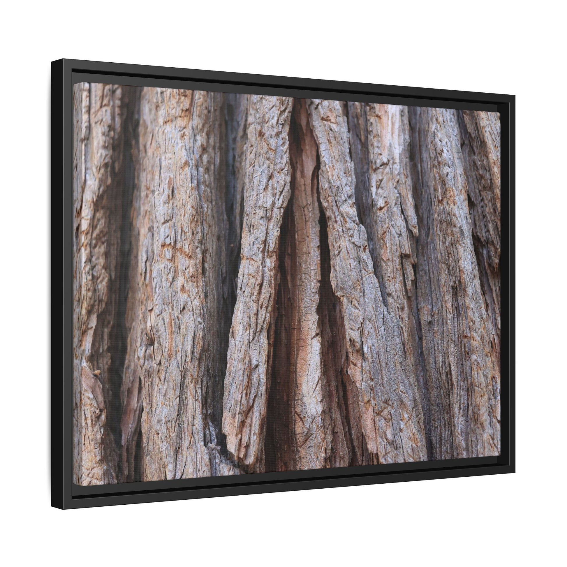 Nature's Sculpture - Unique Stretched Canvas Wall Art - Art By Earth