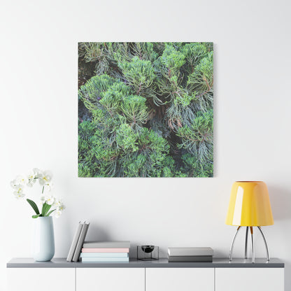 Green Labyrinth - Unique Frameless Canvas Wall Art - Art By Earth
