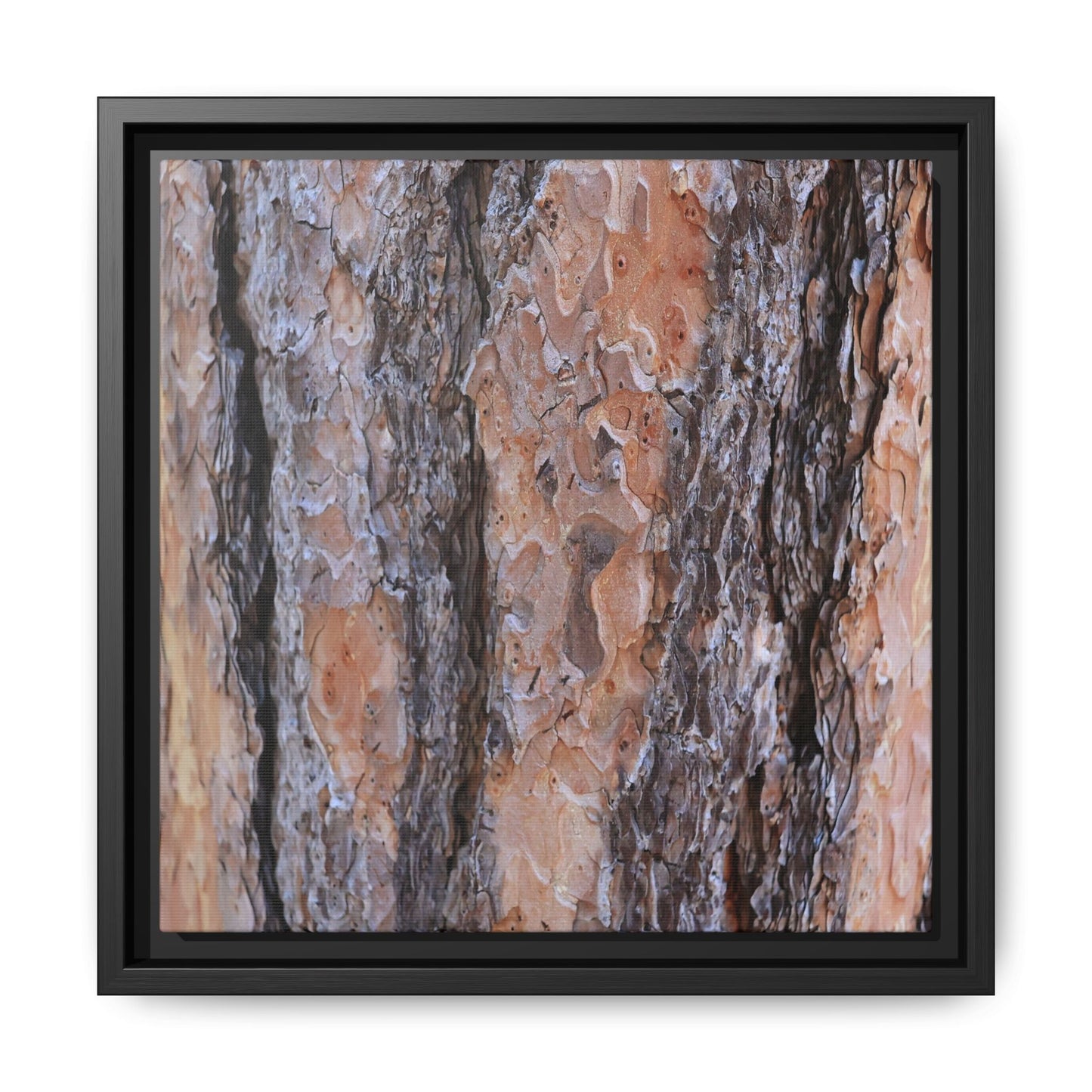 Earthy Embrace - Unique Stretched Canvas Wall Art - Art By Earth