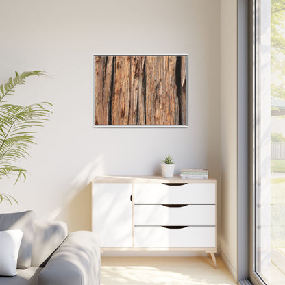 Timber Echoes - Unique Stretched Canvas Wall Art - Art By Earth