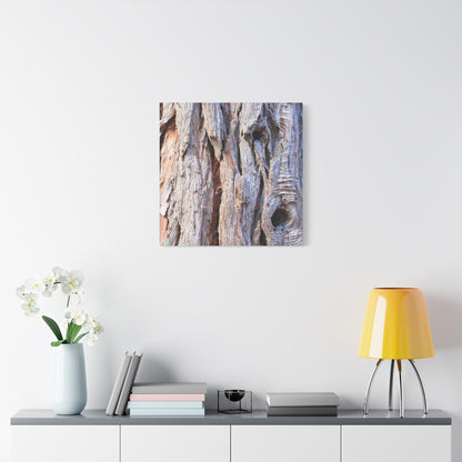 Aged Bark Surface - Unique Frameless Canvas Wall Art - Art By Earth