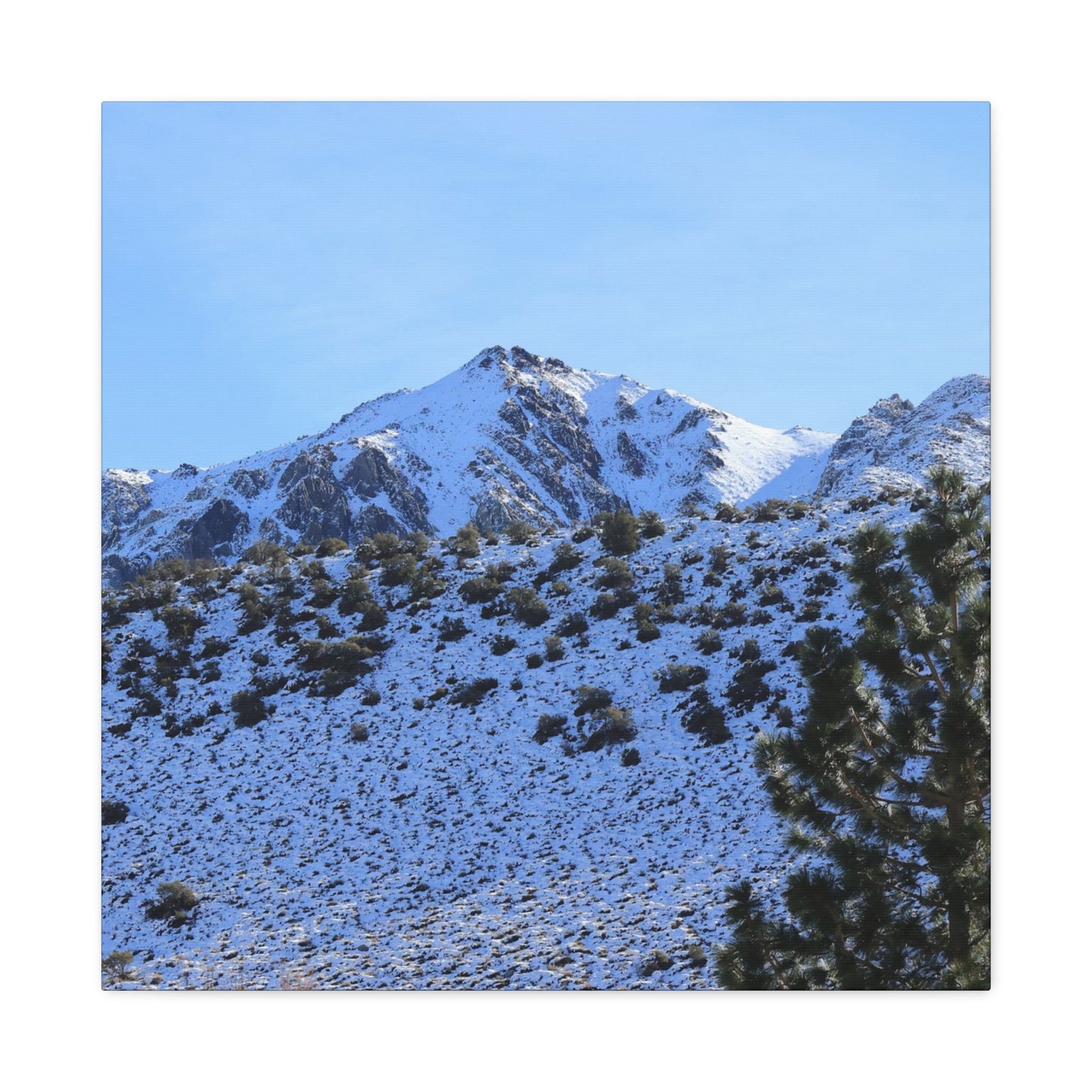 Snowy Peaks and Stoic Pines - Unique Frameless Canvas Wall Art