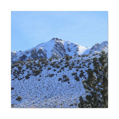 Snowy Peaks and Stoic Pines - Unique Frameless Canvas Wall Art