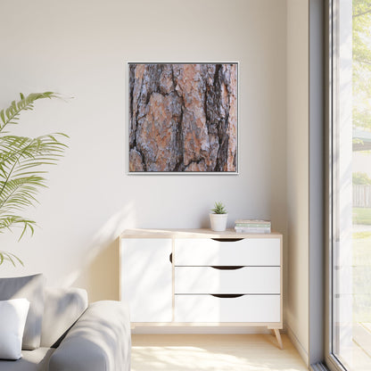 Tree Skin Symphony - Unique Stretched Canvas Wall Art - Art By Earth