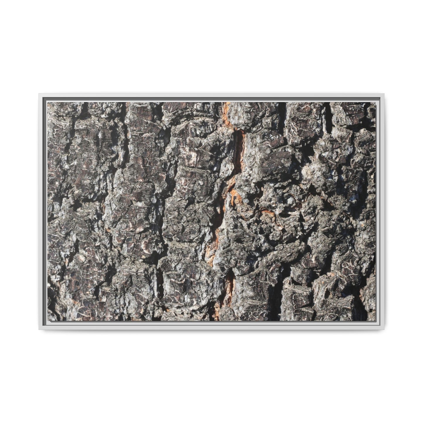 Aged Beauty - Unique Stretched Canvas Wall Art - Art By Earth