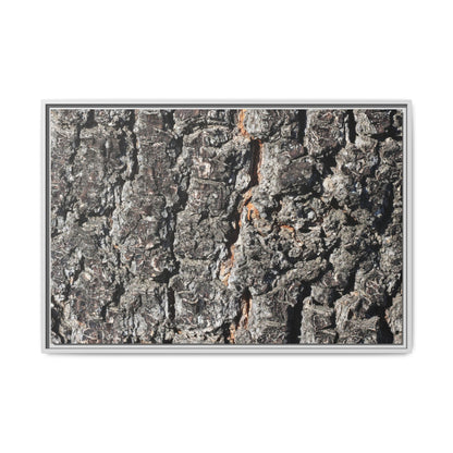 Aged Beauty - Unique Stretched Canvas Wall Art - Art By Earth