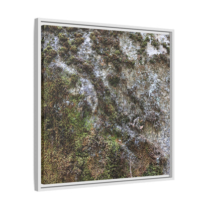 Mossy Whispers - Unique Stretched Canvas Wall Art - Art By Earth