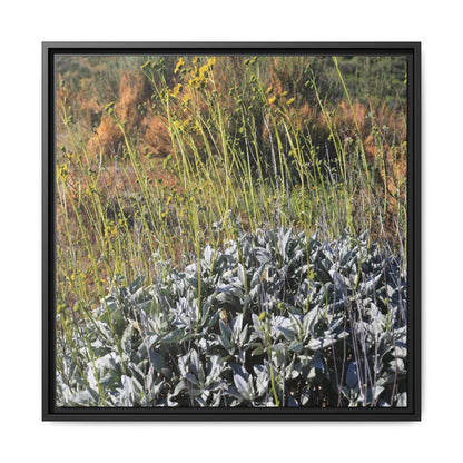 Arid Landscape with Yellow Flowers - Unique Stretched Canvas Wall Art - Art By Earth