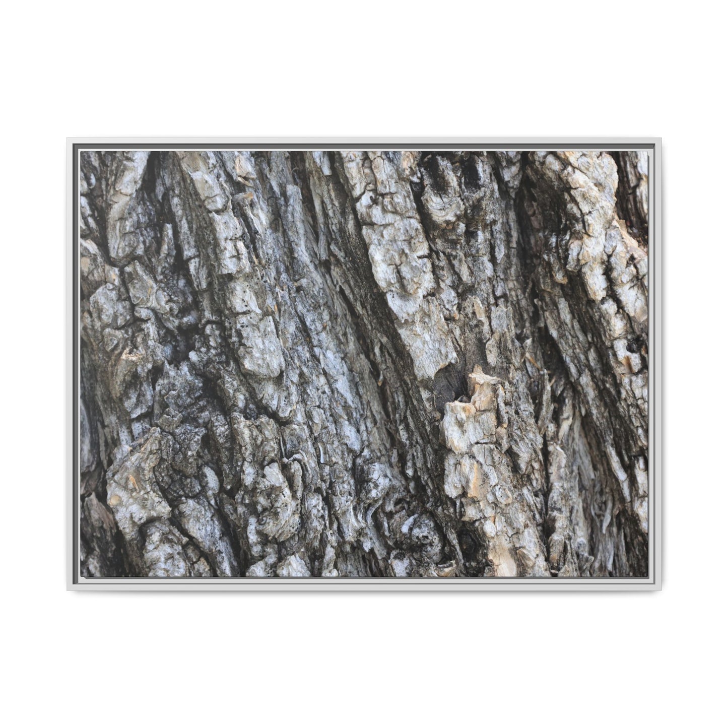 Twisted Textures - Unique Stretched Canvas Wall Art - Art By Earth