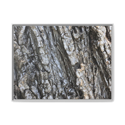 Twisted Textures - Unique Stretched Canvas Wall Art - Art By Earth