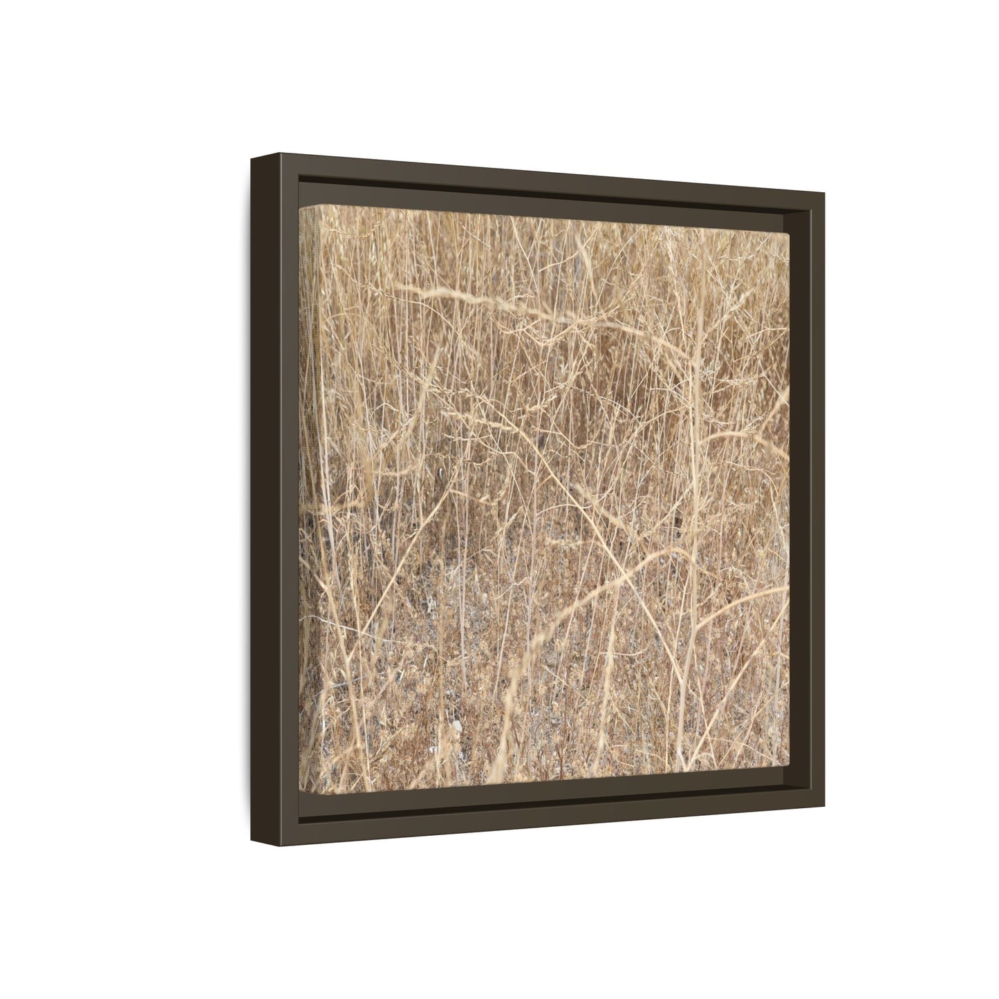 Golden Stalks - Unique Stretched Canvas Wall Art - Art By Earth
