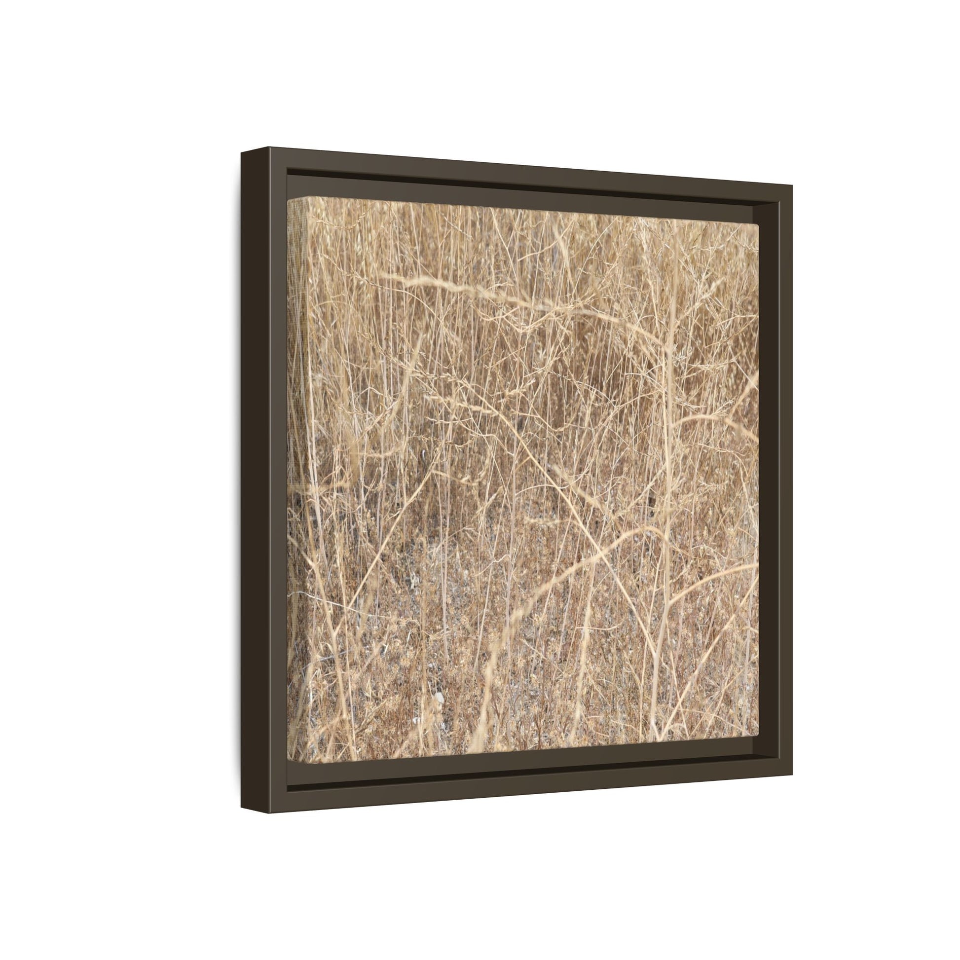 Golden Stalks - Unique Stretched Canvas Wall Art - Art By Earth