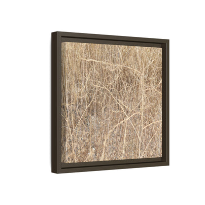 Golden Stalks - Unique Stretched Canvas Wall Art - Art By Earth