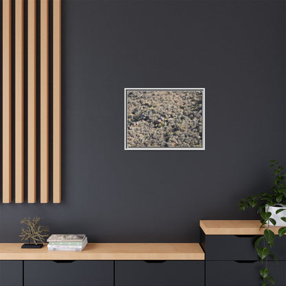 Arid Terrain Study - Unique Stretched Canvas Wall Art - Art By Earth
