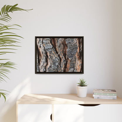 Fractured Nature - Unique Stretched Canvas Wall Art - Art By Earth