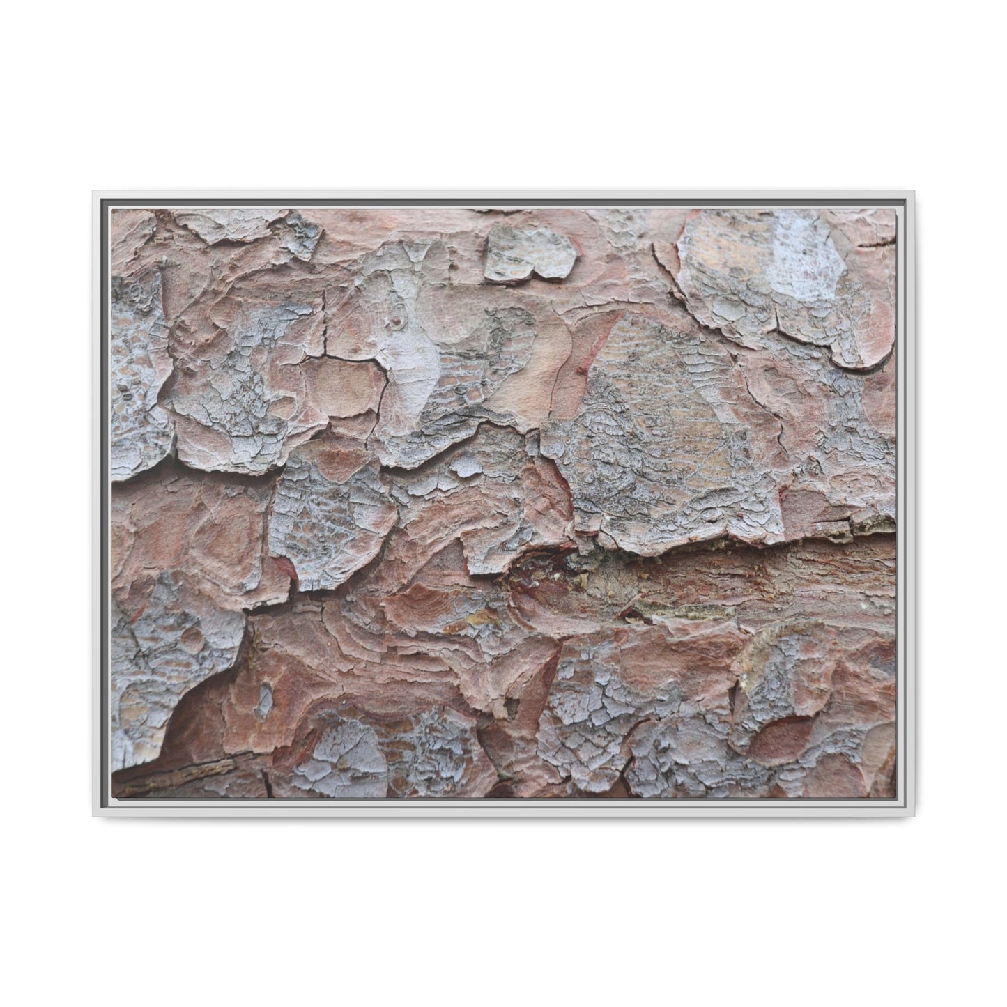 Flaking Serenity - Unique Stretched Canvas Wall Art - Art By Earth