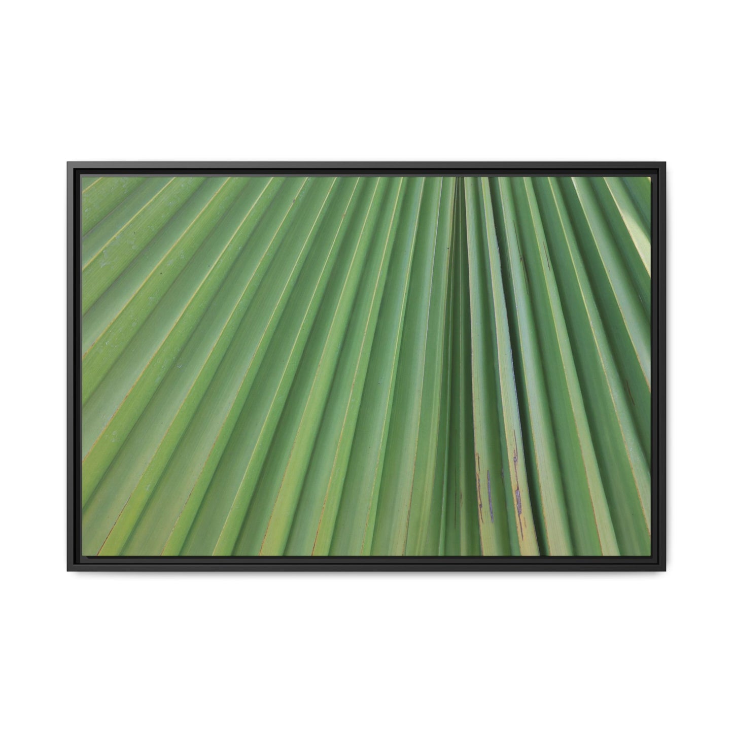 Emerald Rays - Unique Stretched Canvas Wall Art - Art By Earth