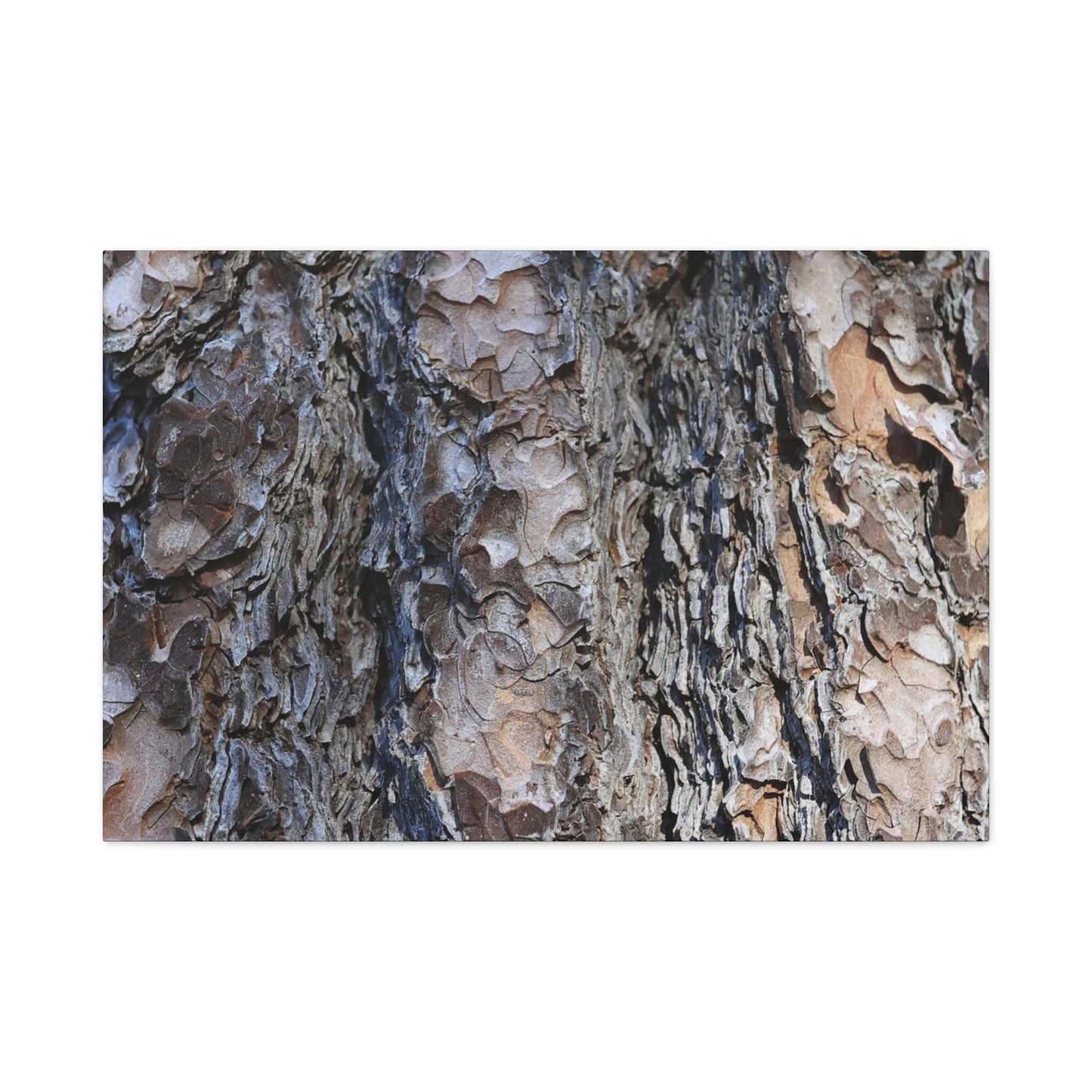 Bark's Rugged Symphony - Unique Frameless Canvas Wall Art - Art By Earth