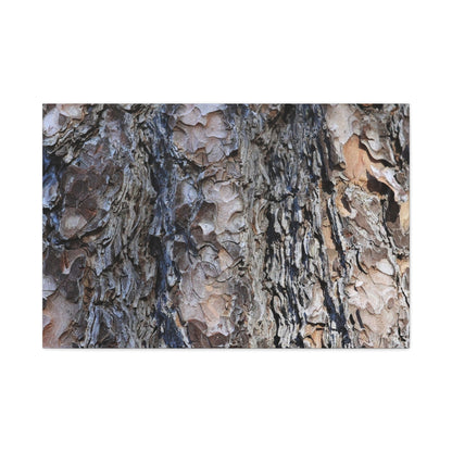 Bark's Rugged Symphony - Unique Frameless Canvas Wall Art - Art By Earth