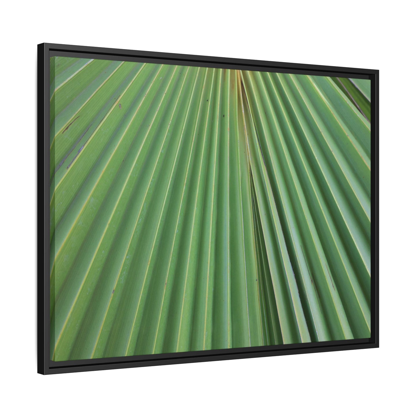 Verdant Veins - Unique Stretched Canvas Wall Art - Art By Earth