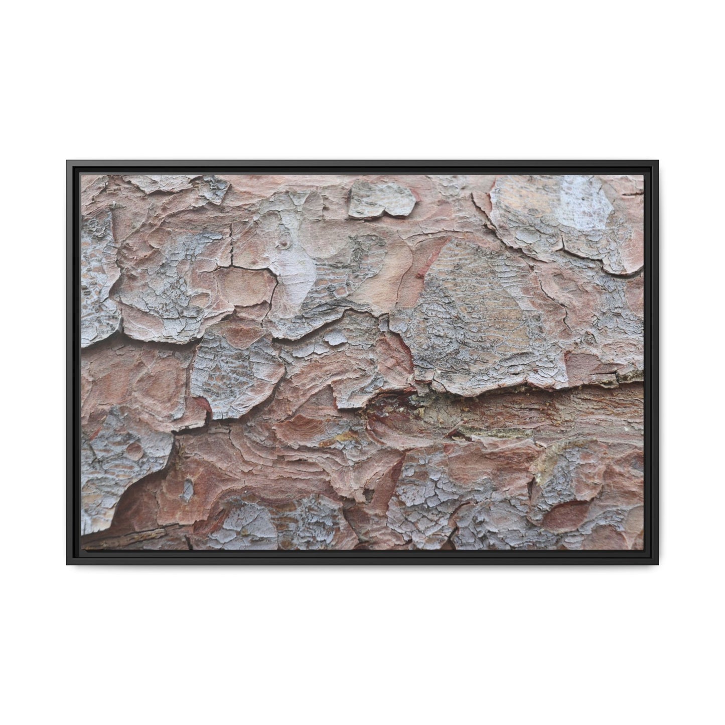 Flaking Serenity - Unique Stretched Canvas Wall Art - Art By Earth