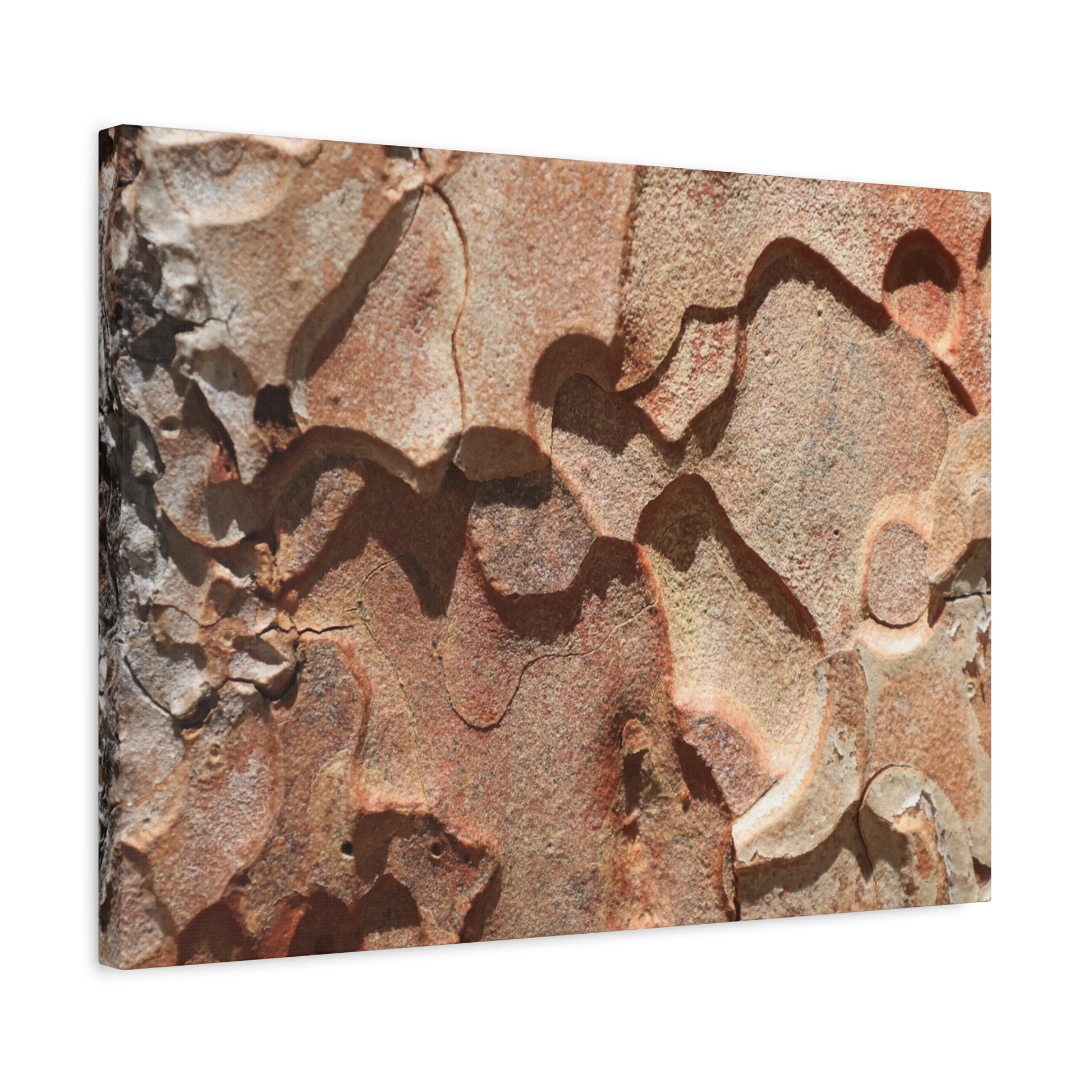Terracotta Echoes - Unique Frameless Canvas Wall Art - Art By Earth